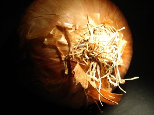 onion-5982__180