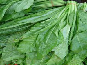 秋まき野菜の栽培方法や育て方は？収穫野菜を使用した簡単レシピは？